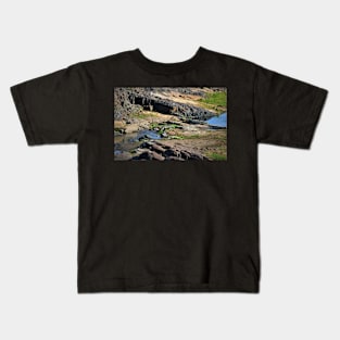 Crocodile in the Crocodile River Kids T-Shirt